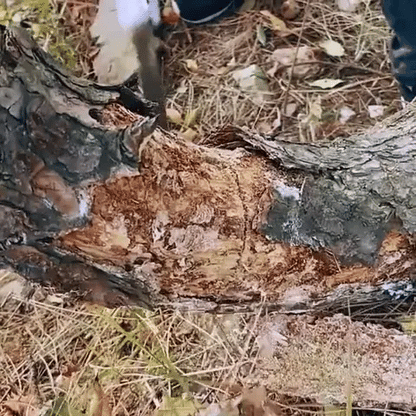 Klappbare Handsäge mit Folding Lock | Multitool für Outdoor, Gartenarbeit und Baumschnitt (Preview GIF)